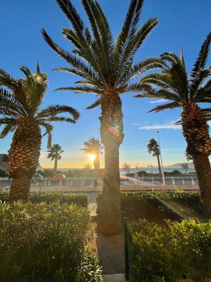 "Les Palmiers" Studio Spacieux Vue Mer Terrasse & Parking Saint-Cyr-sur-Mer Dış mekan fotoğraf